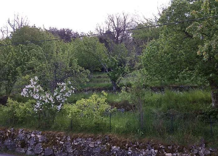 Restaurant De La Poste Hotel Aullene